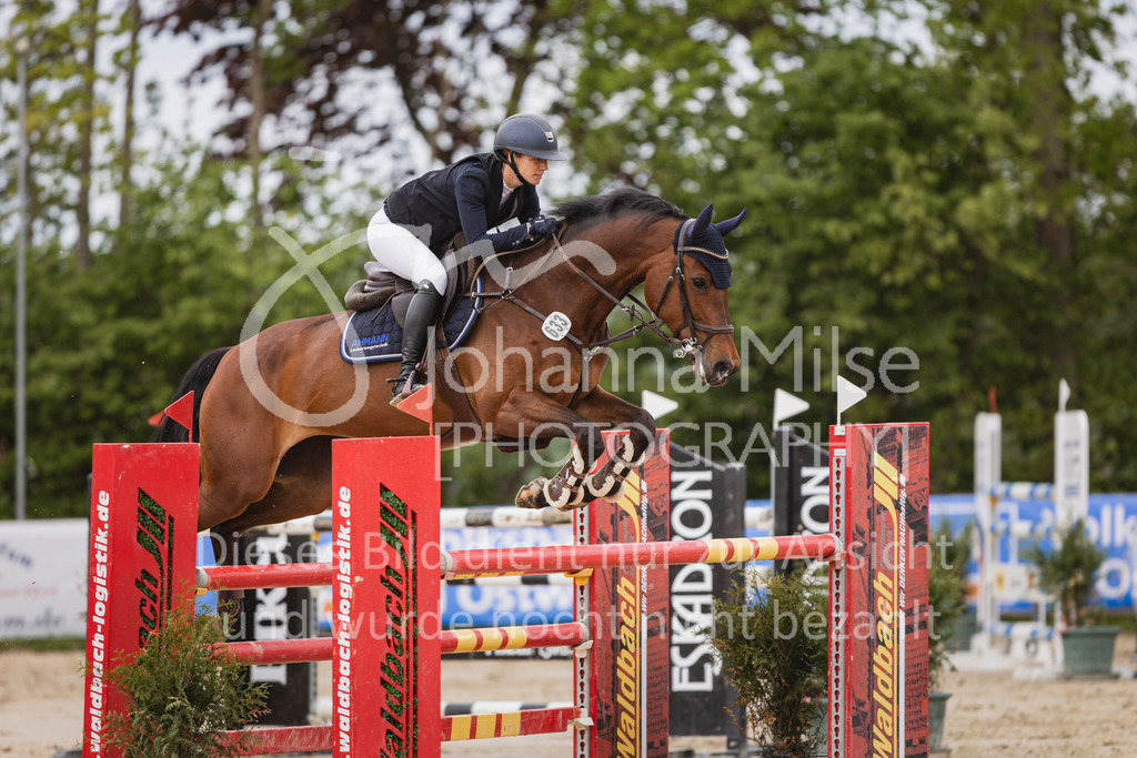 250504_SpengeW_M2-Spr-416 | Deine schönsten Turniermomente als professionelle Fotos! Entdecke hochwertige Pferdesport-Fotografie im Online-Shop. Jetzt Fotos finden & bestellen!