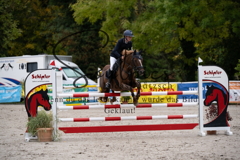 A7V09170 | Pferdefotograf