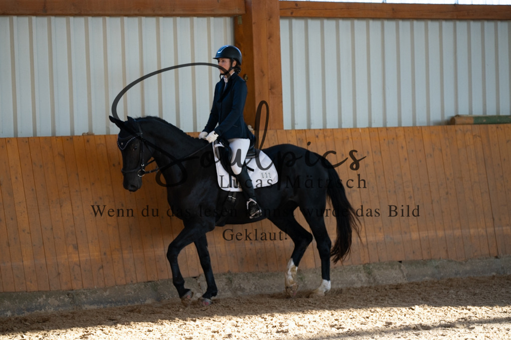 A7V01623 | Turnier/Reitfotograf