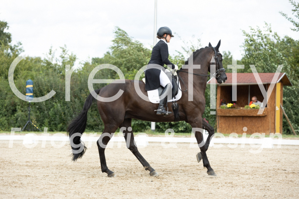 IMG_6840 | Creatify Fotografie