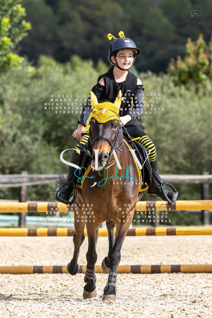 IMG_2622 | s-jay-photography - Realisiert mit Pictrs.com