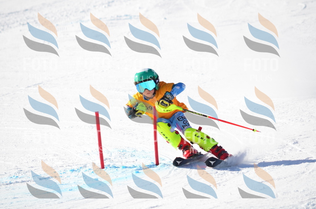 C6420 | holidayphoto