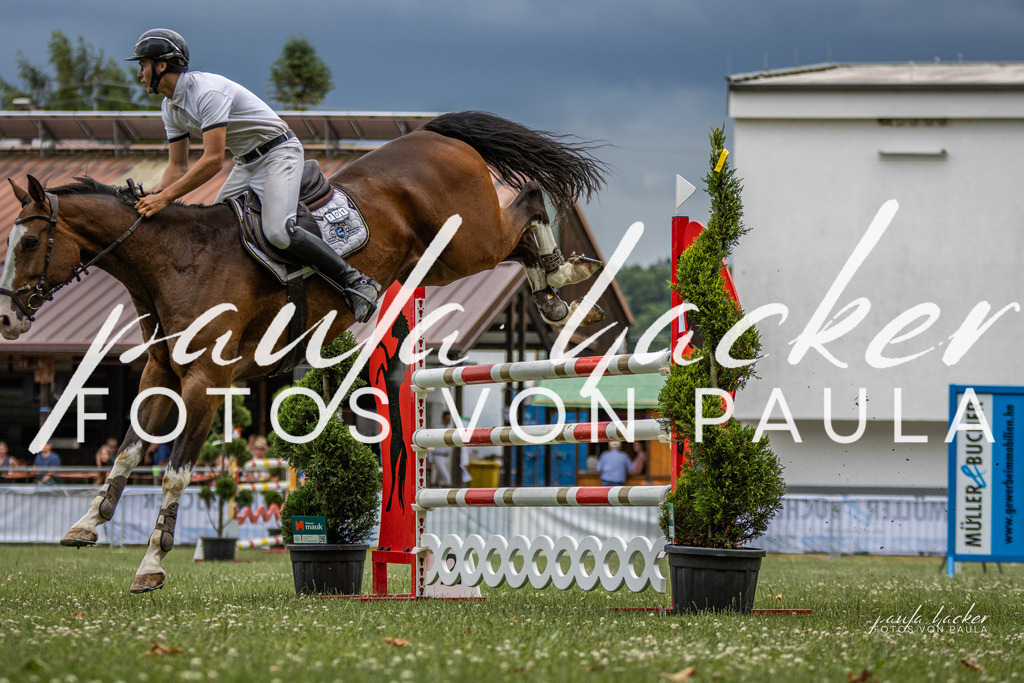 IMG_7253 | Erleben Sie dynamische Sport- und emotionale Tierfotografie in Süddeutschland mit Fotos von Paula. Spezialisiert auf Pferde- und Hundefotografie sowie Sportevents. Kontaktieren Sie mich für einzigartige und ausdrucksstarke Bilder Ihrer besonderen Momente. - Realisiert mit Pictrs.com