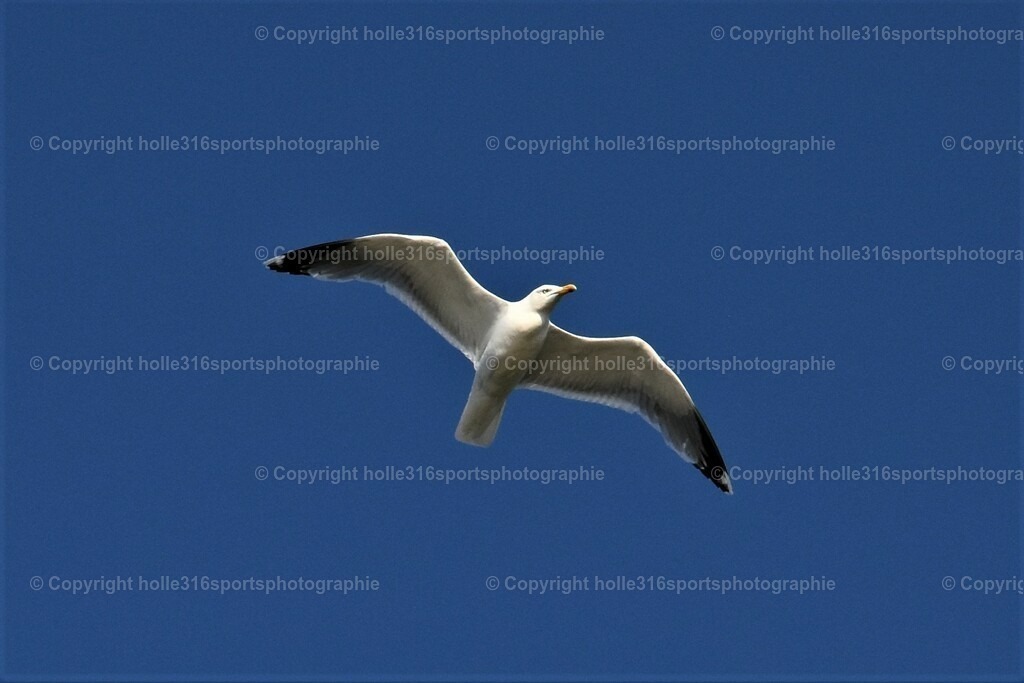 DSC_0058 (2) | Sportfotografie , Motorsport, Motoross, Reitsport, Mointainbike, Enduro,
Landschaft , Outdoor, Eventfotografie, Landschaft, Bilder online bestellen - Realisiert mit Pictrs.com