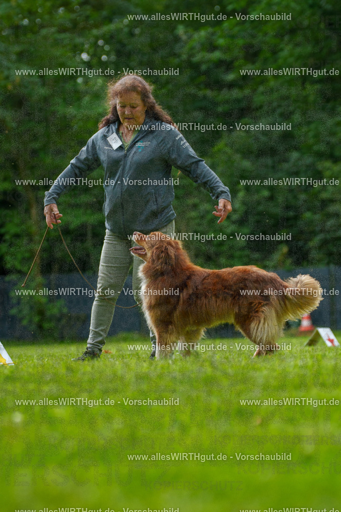 @allesWIRTHgut_Tierfotografie - www.allesWIRTHgut.de - 7R505099 | Professionelle Tierfotografie in Mönchengladbach von Daniel Wirth (allesWIRTHgut). Liebevolle & natürliche Bilder von Hunden & Katzen für unvergessliche Erinnerungen.