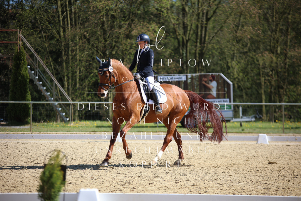 IMGT8269 | pl-fotografie