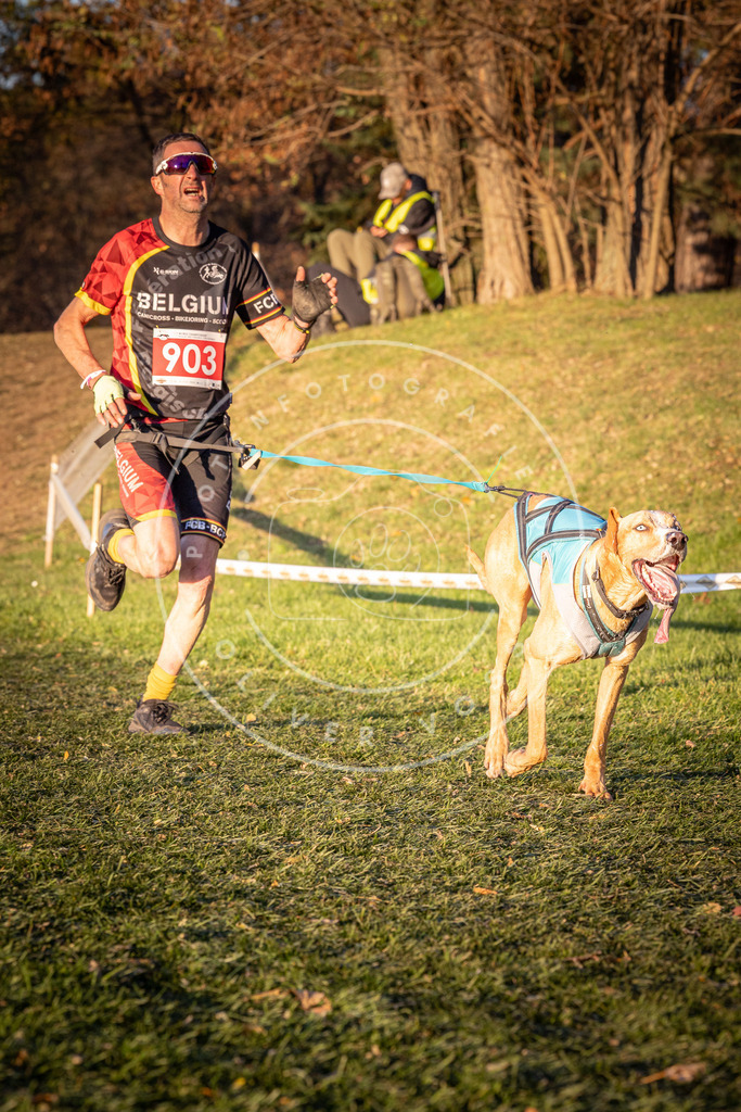 CaniXpix_0L8A1386 | Hundefotografie, Tierfotograf, Pfotenfotografie, Fotoshooting Hund, Hunde Portrait, Hundesport, Hundeportraits, Heideshooting, Hunde, Sportfotograf, Hundefotograf, Turnierhundsport, THS,  - Realisiert mit Pictrs.com