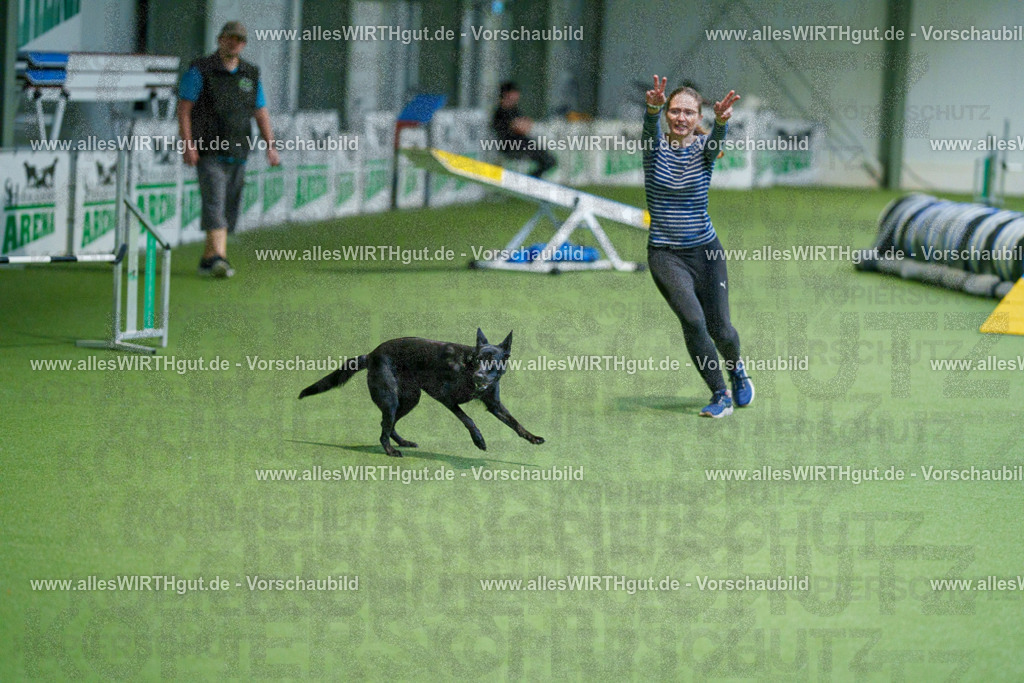 @allesWIRTHgut_Tierfotografie - www.allesWIRTHgut.de - 2604250812-7R505723 | Professionelle Tierfotografie in Mönchengladbach von Daniel Wirth (allesWIRTHgut). Liebevolle & natürliche Bilder von Hunden & Katzen für unvergessliche Erinnerungen.