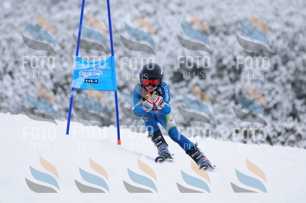 C2961 | holidayphoto