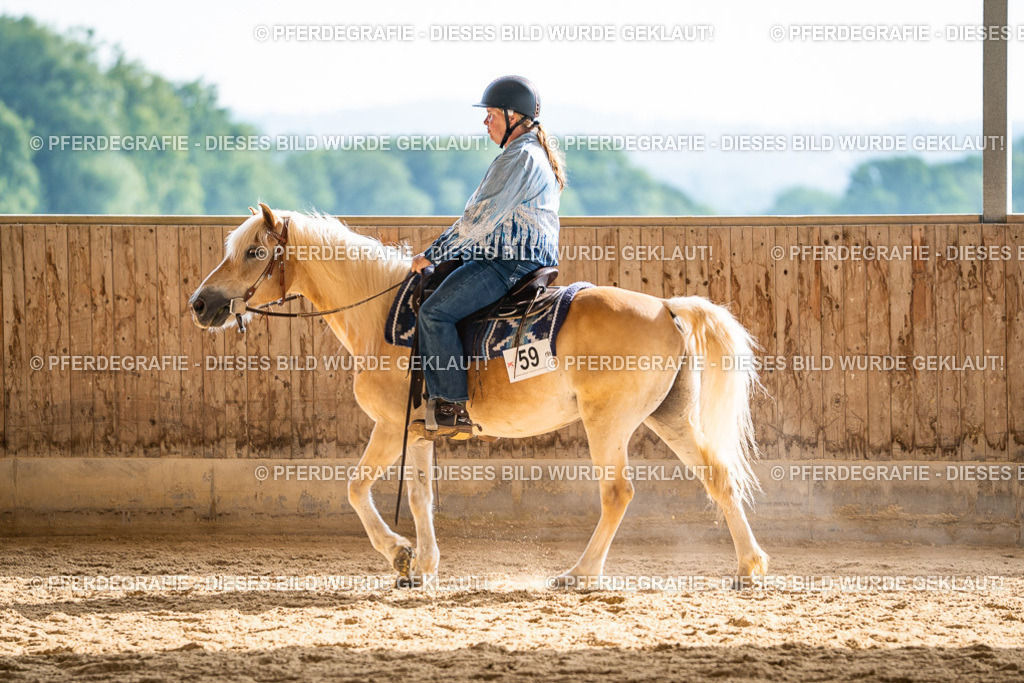 DSC07932 | Pferdegrafie