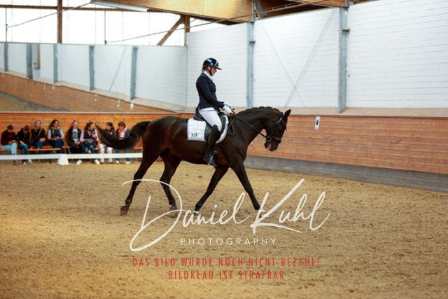 _62_5024 | Turniersportfotografie; Pferdefotografie; Dressurfotografie