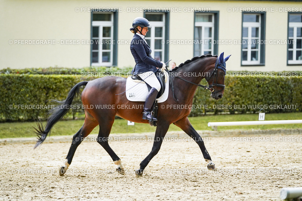 DSC00021 | Pferdegrafie