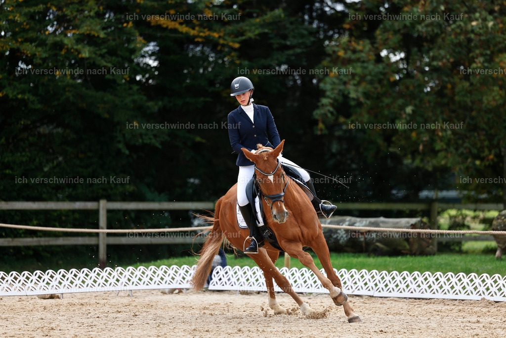 02-095-DRESSUR L_  -StoibPH-4719 | working equitationturnier fotograf videograf stoibphotography marixx film working equitation deutschland reitsport turnierfotografie eventfotografie equestrian events