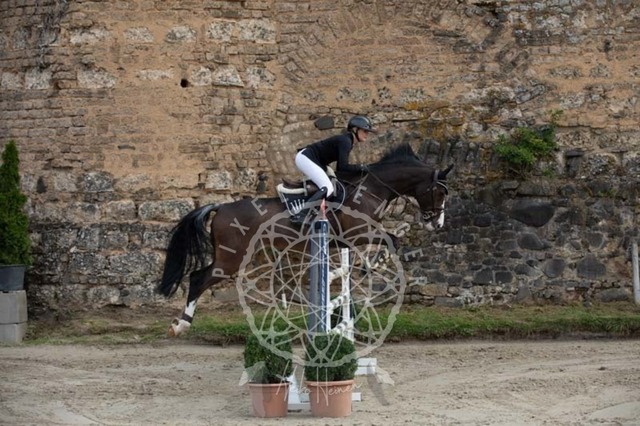 2B4A1103 | pixelfaenger - Realisiert mit Pictrs.com