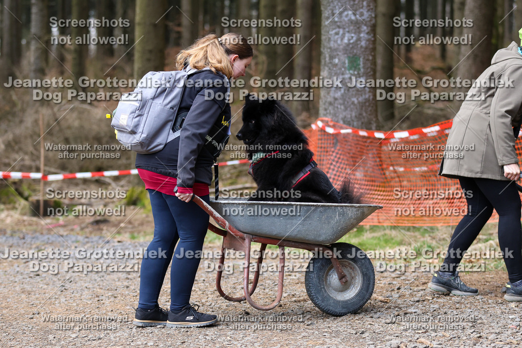 Dog Paparazzi - VCC26-858 | Dog Paparazzi Jeanette Grottendiek Fotografie & Videografie - Realisiert mit Pictrs.com
