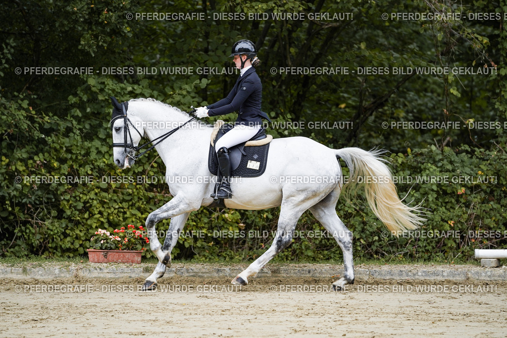 DSC08560 | Pferdegrafie