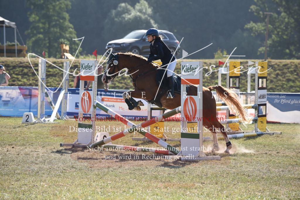 DSC_5999 | Pferde- und Turnierfotografie in Westsachsen. Pferdeportraits, Auftragszeichnungen und intuitive Kunst.