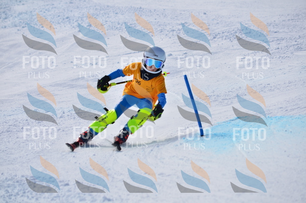 C8727 | holidayphoto