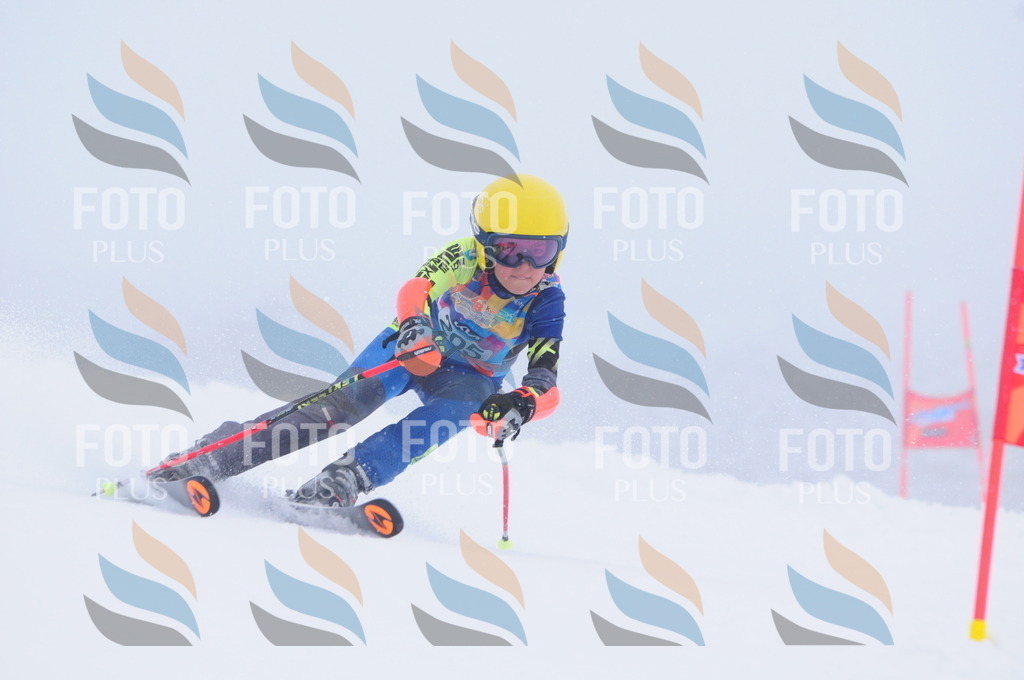 C2234 | holidayphoto