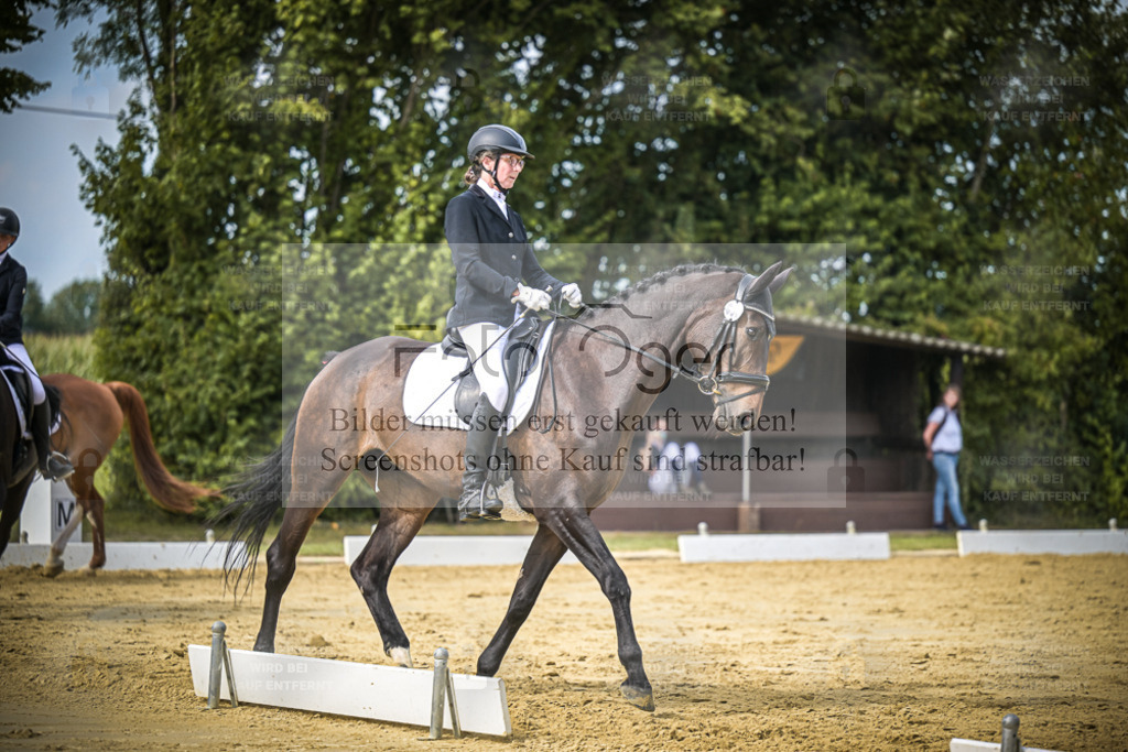 DOS_5988 | Entdecke hochwertige Reitturnierfotos von Foto Oger. Professionell, emotional und authentisch – jetzt Lieblingsmomente im Shop bestellen. - Realisiert mit Pictrs.com