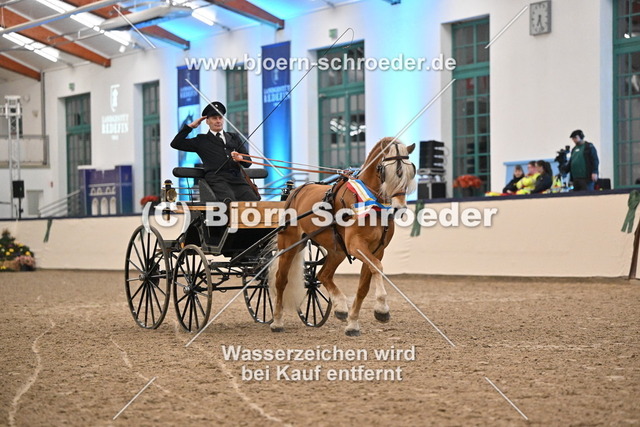 Neustart_974_5424 | Björn Schroeder Pferdefotografie