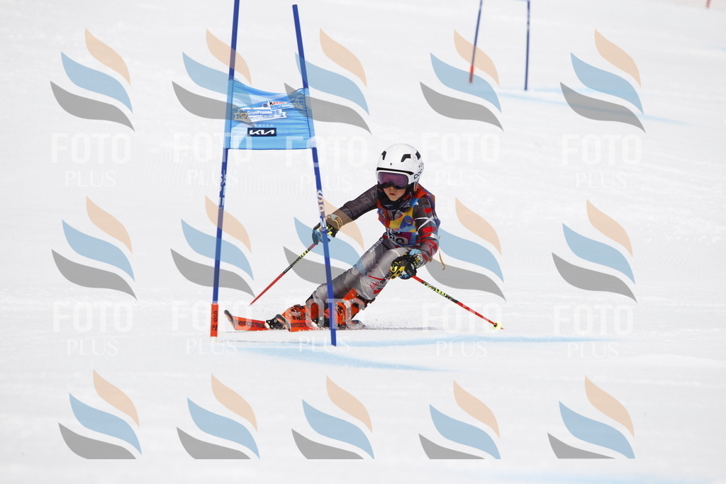 _U3G7240 | holidayphoto