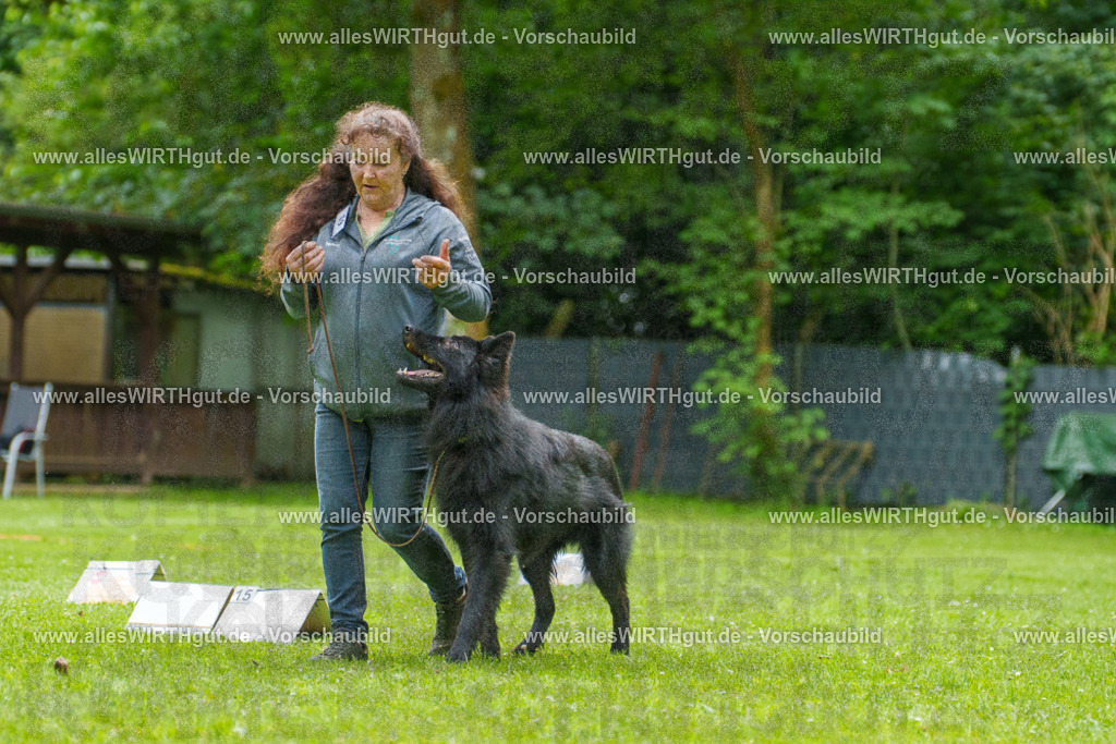 @allesWIRTHgut_Tierfotografie - www.allesWIRTHgut.de - 7R501761 | Professionelle Tierfotografie in Mönchengladbach von Daniel Wirth (allesWIRTHgut). Liebevolle & natürliche Bilder von Hunden & Katzen für unvergessliche Erinnerungen.