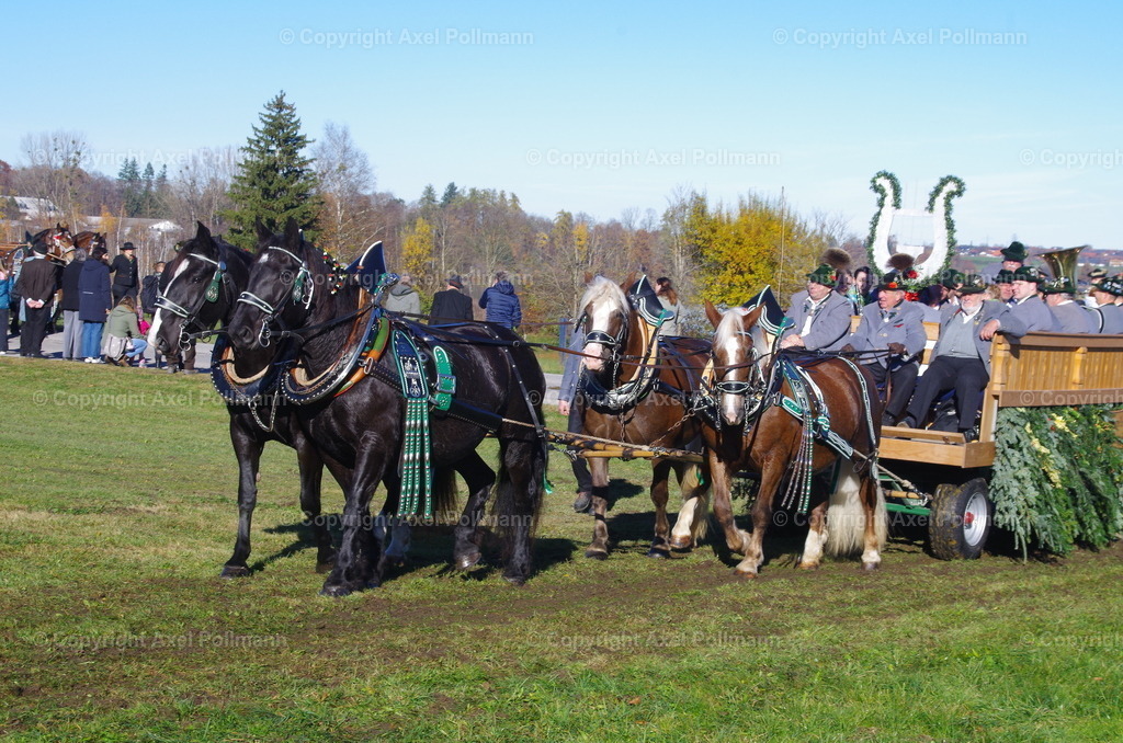 IMGP7617 | fotografiert von Axel PollmannLeonhardi Wallfahrt Benediktbeuern und Murnau, Fronleichnam, Fasching, Landschaft im Loisachtal und Benediktbeuern  - Realisiert mit Pictrs.com