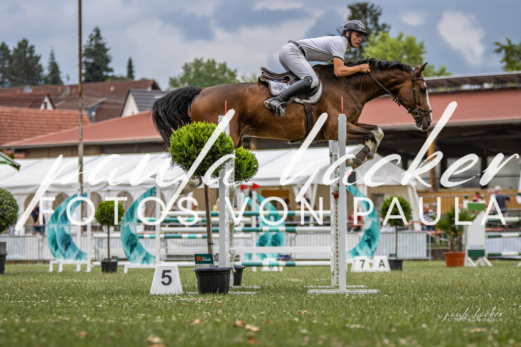 IMG_7259 | Erleben Sie dynamische Sport- und emotionale Tierfotografie in Süddeutschland mit Fotos von Paula. Spezialisiert auf Pferde- und Hundefotografie sowie Sportevents. Kontaktieren Sie mich für einzigartige und ausdrucksstarke Bilder Ihrer besonderen Momente. - Realisiert mit Pictrs.com