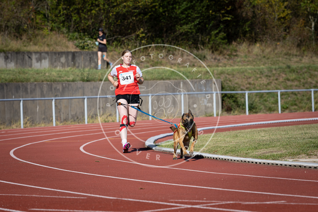 Pfotenfotografie_DV3A8153 | Hundefotografie, Tierfotograf, Pfotenfotografie, Fotoshooting Hund, Hunde Portrait, Hundesport, Hundeportraits, Heideshooting, Hunde, Sportfotograf, Hundefotograf, Turnierhundsport, THS,  - Realisiert mit Pictrs.com