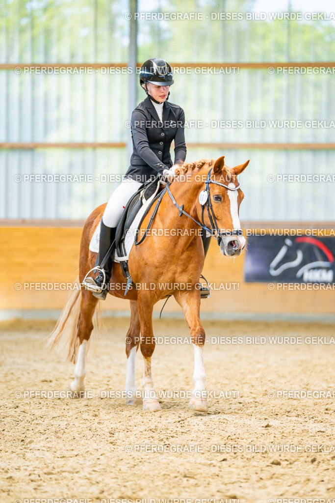 DSC08201 | Pferdegrafie