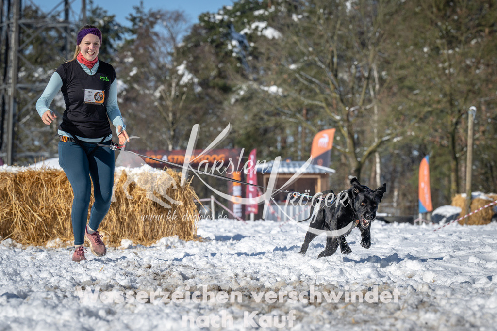 1101_ZZ94346-2 | kk-dogfotos