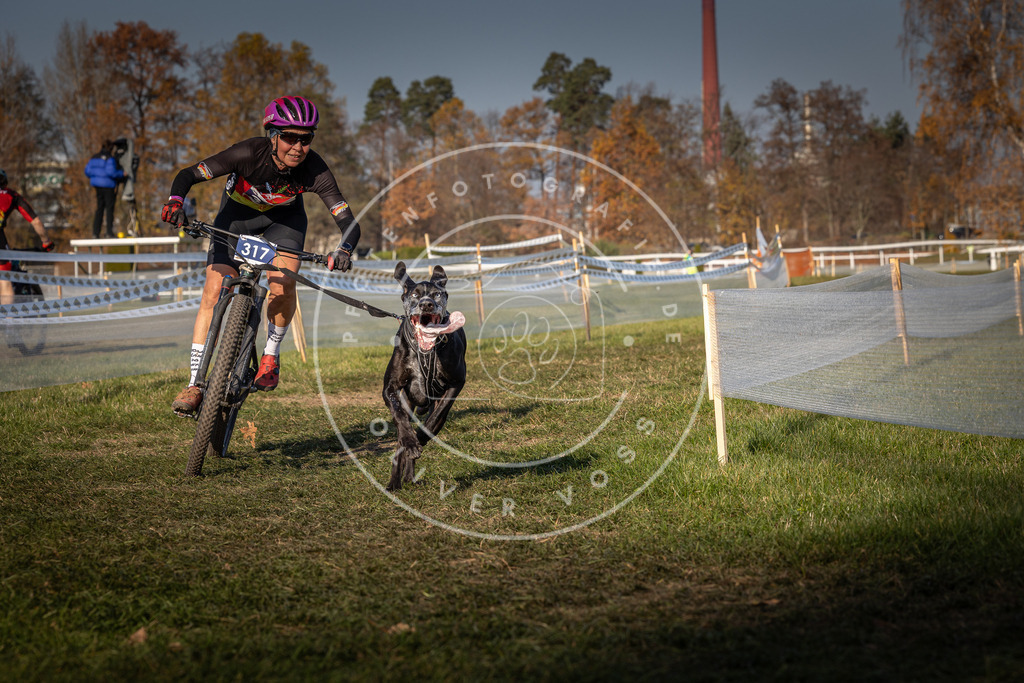 CaniXpix_0L8A6769 | Hundefotografie, Tierfotograf, Pfotenfotografie, Fotoshooting Hund, Hunde Portrait, Hundesport, Hundeportraits, Heideshooting, Hunde, Sportfotograf, Hundefotograf, Turnierhundsport, THS,  - Realisiert mit Pictrs.com