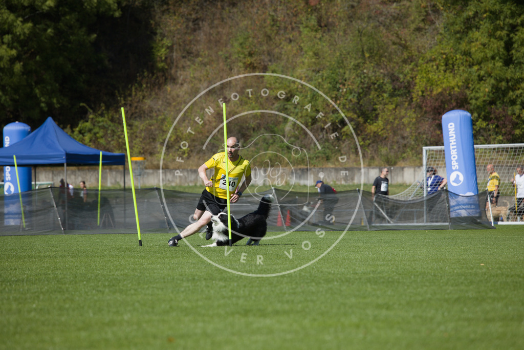 0L8A6133 | Hundefotografie, Tierfotograf, Pfotenfotografie, Fotoshooting Hund, Hunde Portrait, Hundesport, Hundeportraits, Heideshooting, Hunde, Sportfotograf, Hundefotograf, Turnierhundsport, THS,  - Realisiert mit Pictrs.com