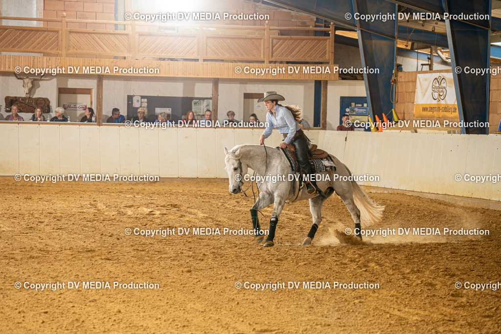 MIT01337 | dv-media-shop - Realisiert mit Pictrs.com