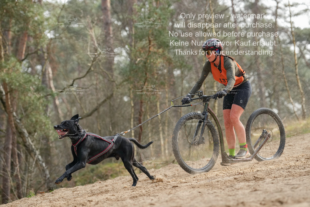 Scooter2-7 | stephaniefillaphotographie - Realisiert mit Pictrs.com