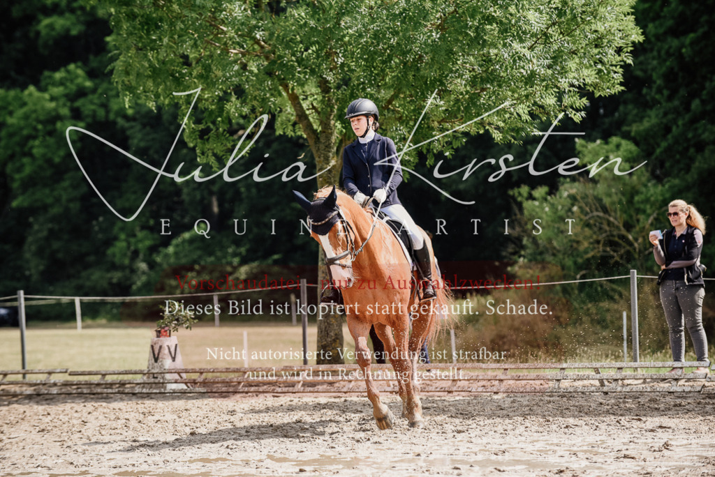 DSC_0025 | Pferde- und Turnierfotografie in Westsachsen. Pferdeportraits, Auftragszeichnungen und intuitive Kunst.