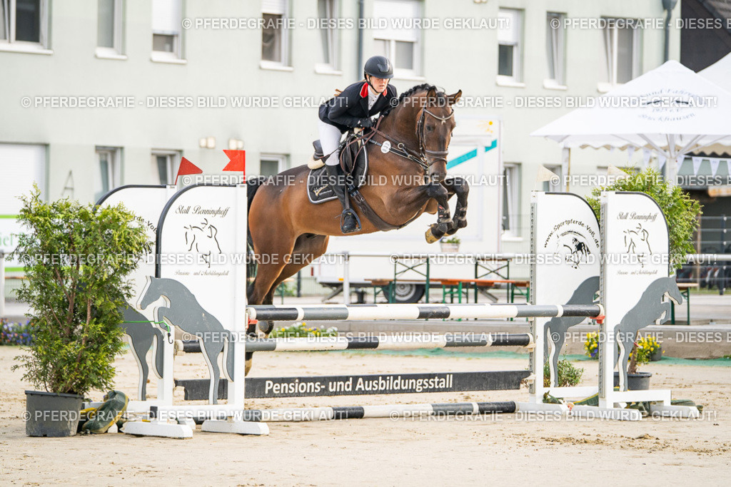 DSC07856 | Pferdegrafie