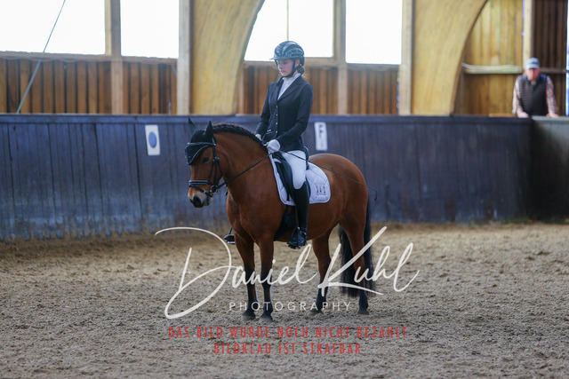 IMG_1181 | Turniersportfotografie; Pferdefotografie; Dressurfotografie