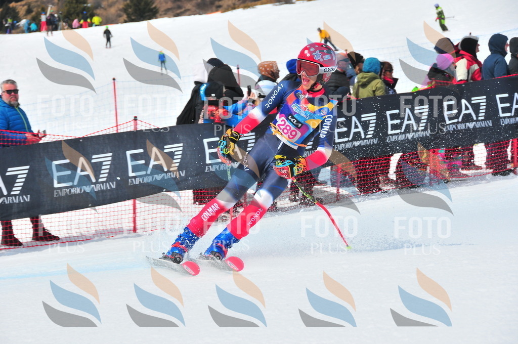 DSC_6443 | holidayphoto