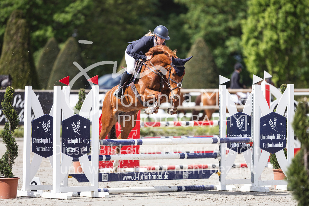 260508_PfSpTa_8_SprPf-A2-817 | Deine schönsten Turniermomente als professionelle Fotos! Entdecke hochwertige Pferdesport-Fotografie im Online-Shop. Jetzt Fotos finden & bestellen!