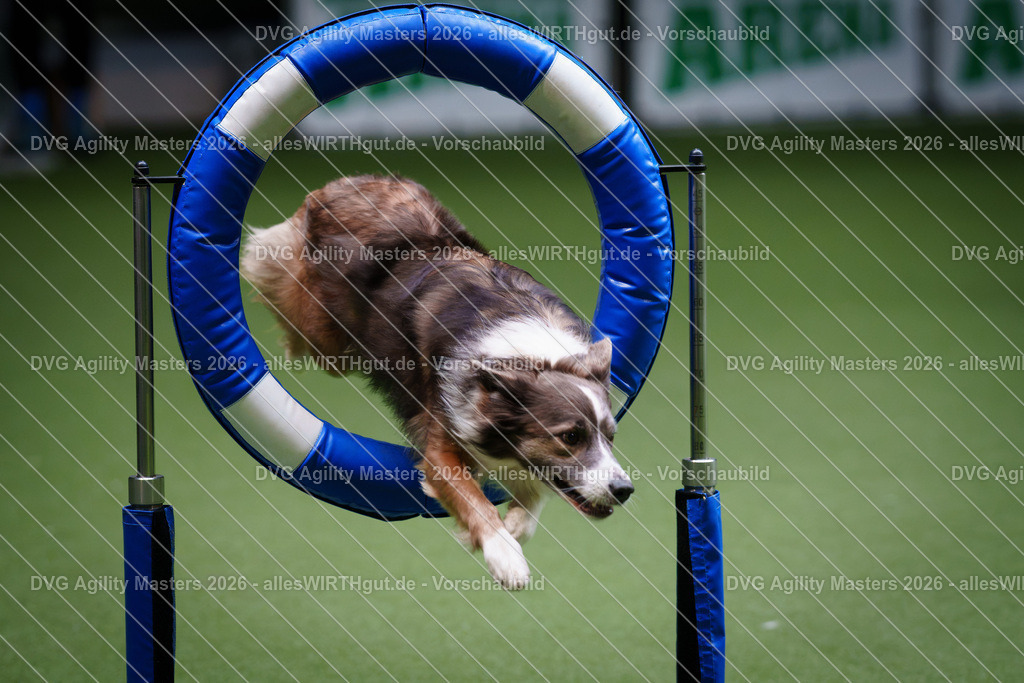 allesWIRTHgut_Tierfotografie-DVG_Agility_Masters_2026-10_56-7R500866 | Professionelle Tierfotografie in Mönchengladbach von Daniel Wirth (allesWIRTHgut). Liebevolle & natürliche Bilder von Hunden & Katzen für unvergessliche Erinnerungen.