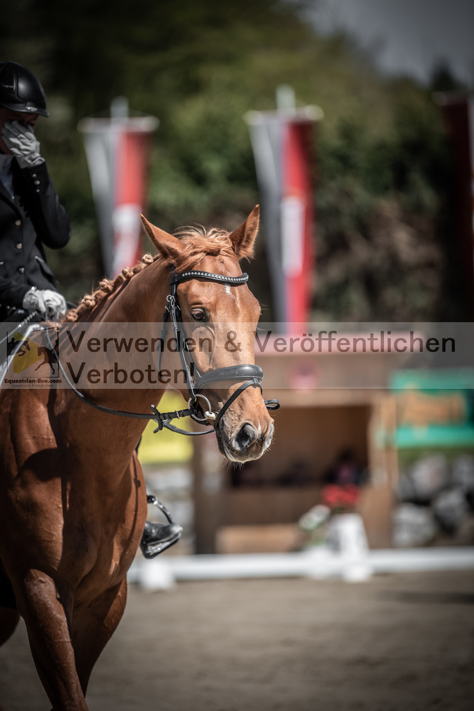 DSC_0140 | equestrian-live-com