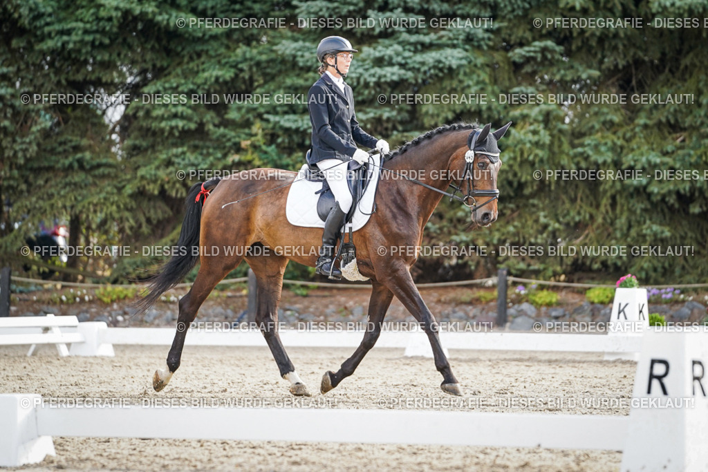 DSC00757 | Pferdegrafie