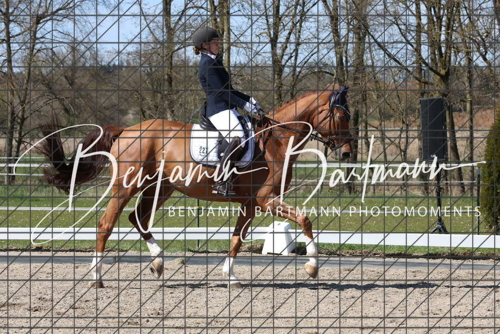 AZ2A4625 | Benjamin Bartmann Photomoments