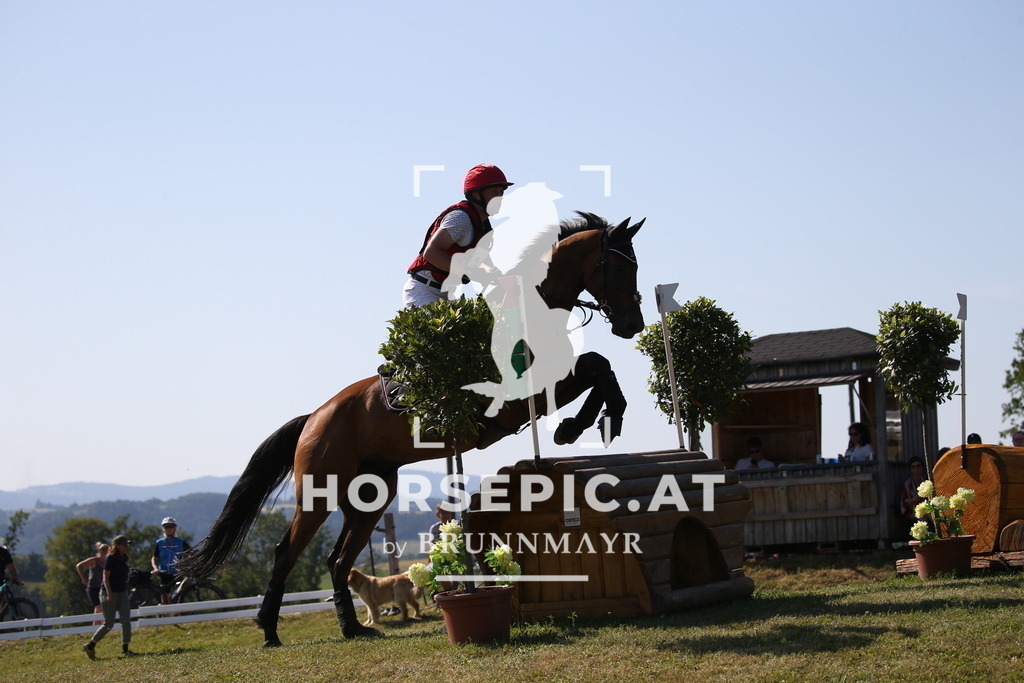 DL2Q2055 | Willkommen bei Brunnmayr - Design & Fotografie – Ihrem Spezialisten für Reitturniere und Pferdeveranstaltungen in Oberösterreich, Salzburg und Bayern! Seit über 17 Jahren sind wir leidenschaftlich dabei.