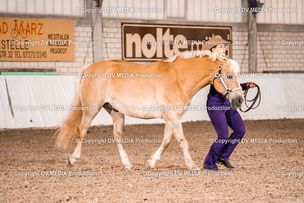 ZH100044 | dv-media-shop - Realisiert mit Pictrs.com