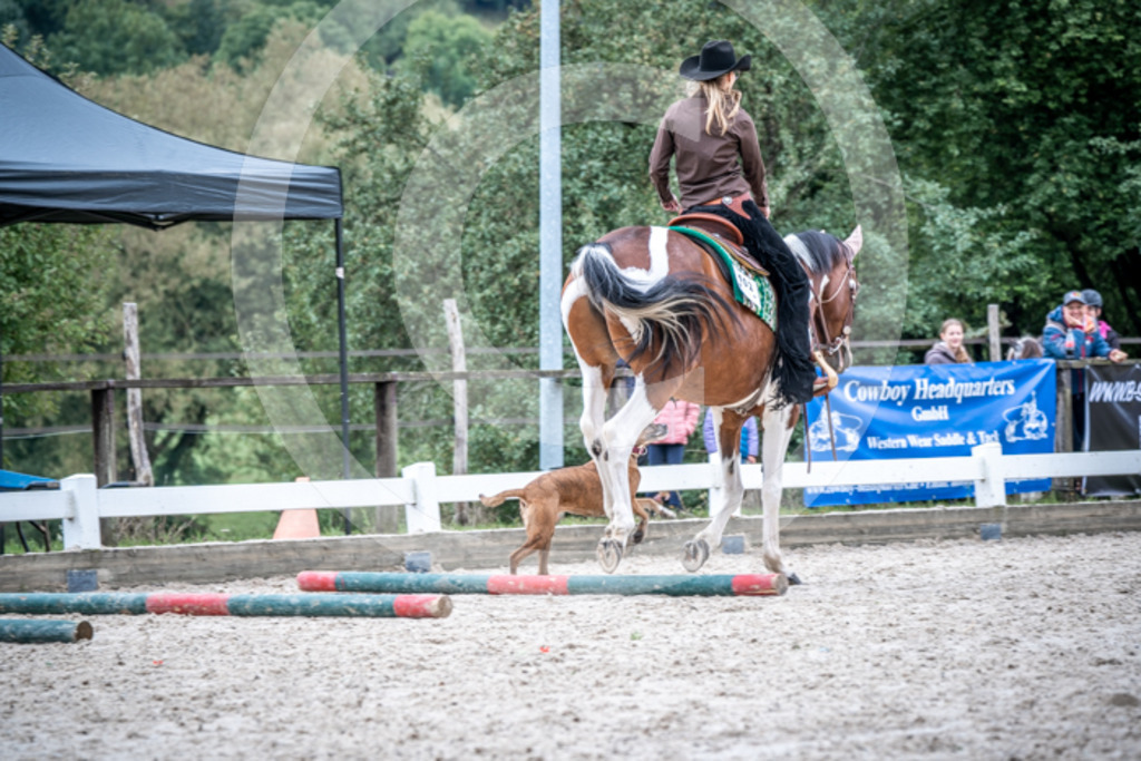 HEB08470 | BS-foto