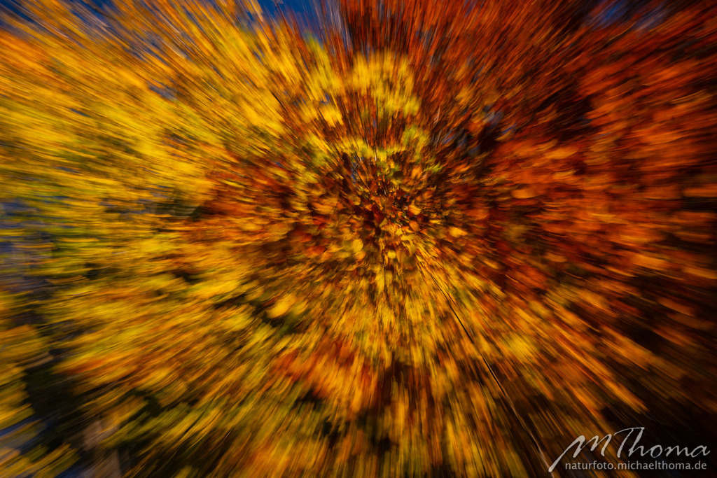 Herbstlaub kreativ | Dies ist der Online-Shop von naturfoto.michaelthoma.de. Ich bin leidenschaftlicher Naturfotograf und fotografiere von der Andromedagalaxie bis zum Zwergtaucher, von der Ameise bis zum Orionnebel alles was mit Natur zu tun hat. Hier kann eine Auswahl meine - Realisiert mit Pictrs.com