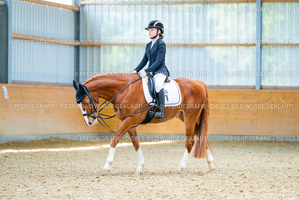 DSC09625 | Pferdegrafie